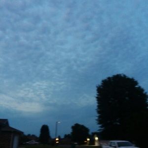 Meet your Posher, Jonell